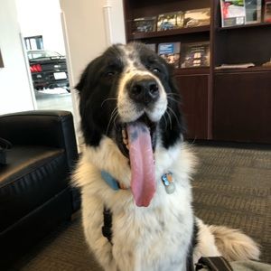 Meet your Posher, Brian